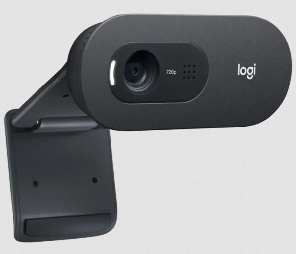 LOGITECH WEBCAM C505 HD 720P 960-001363