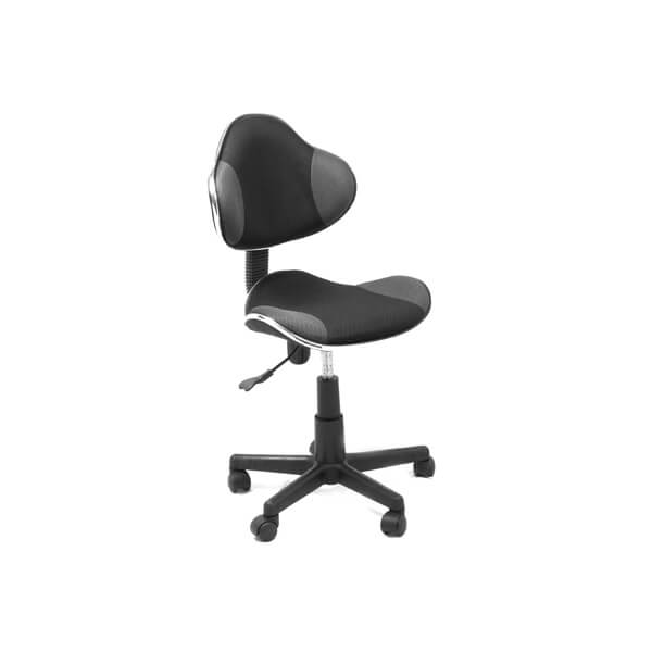 QZY-G2B AM160GEN96 OFFICE CHAIR BLACK/GRAY (CANNES) XTECH